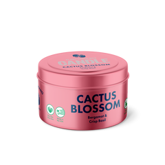 Cactus Blossom Candle